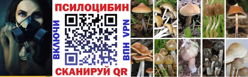 Галлюциногенные грибы прущие грибы  цены наркотик  mega ССЫЛКА  Братск 